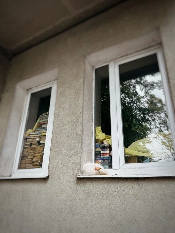 Сегодня в Калининграде идеальная погода для того, чтобы свернуться калачиком и прочитать давно отложенную книжку