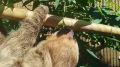 ������� ������ �� ���������������� �������� �������� �� ������ �����
