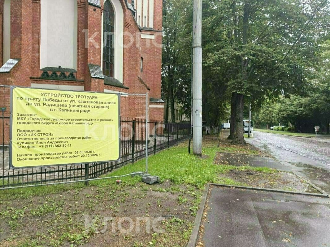 На проспекте Победы возобновили ремонт тротуара, но местные боятся за судьбу деревьев