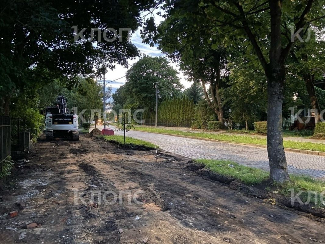 На проспекте Победы возобновили ремонт тротуара, но местные боятся за судьбу деревьев На проспекте Победы возобновили ремонт тротуара, но местные боятся за судьбу деревьев