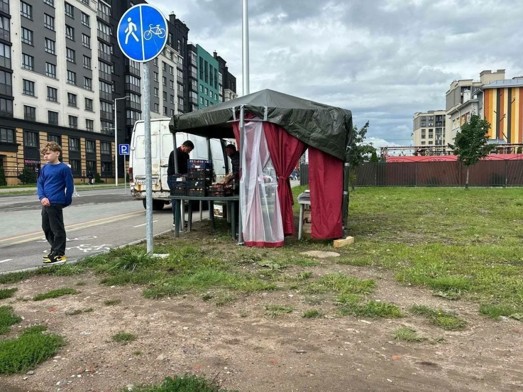 На улице Мариенко фруктовая палатка заняла пешеходную зону На улице Мариенко фруктовая палатка заняла пешеходную зону