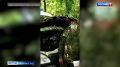 ��������������� ����������� ������� ������ ��� ��������������� ���������� ������ ������