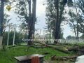 Рабочий, подрезавший деревья в парке Багратионовска, сорвался с высоты и погиб