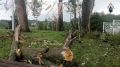 видео с места происшествия