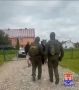 В Неманском районе полицейские задержали подозреваемых в разбойном нападении на местного жителя