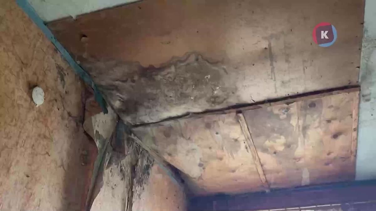 Рухнувший потолок и бесконечная бюрократия