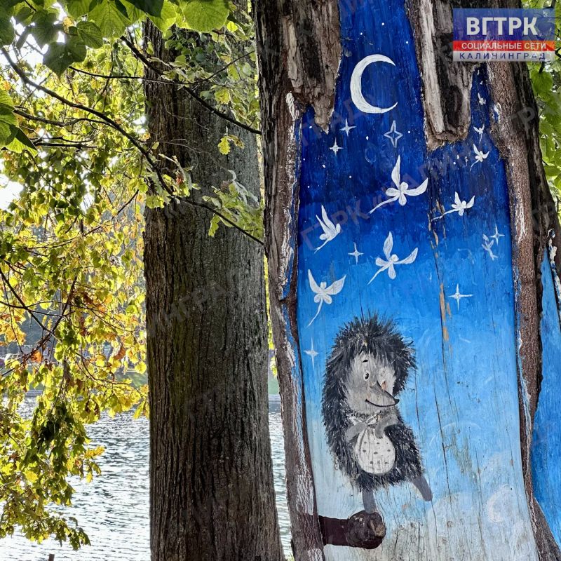 Верхнее озеро в Калининграде сейчас радует очень приятной и спокойной атмосферой Верхнее озеро в Калининграде сейчас радует очень приятной и спокойной атмосферой