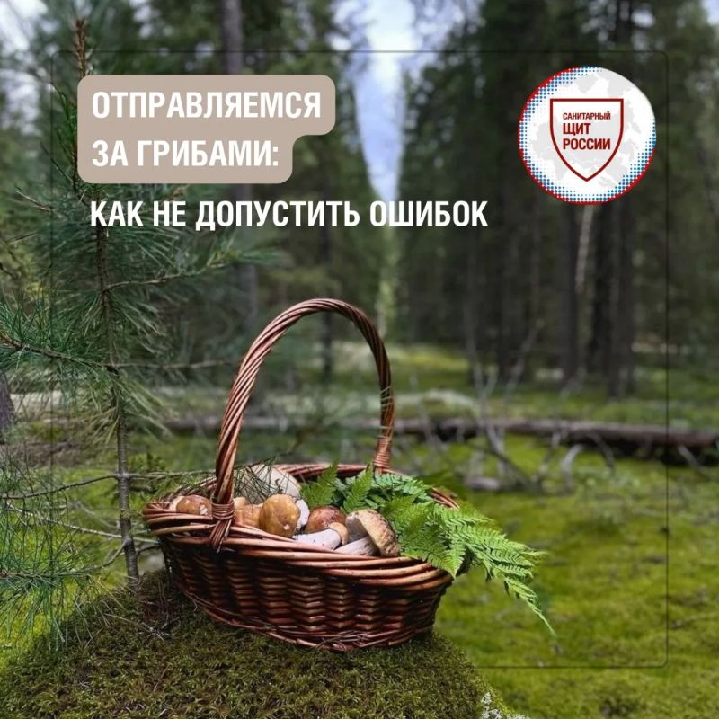 Собираетесь на «тихую охоту»? Проверьте себя по этому чек-листу