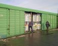 Назван объём вывезенного в 3 страны торфа из Калининградской области