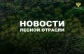 РИА Новости: Совфед одобрил закон о регулировании правил сплошных и выборочных рубок лесов