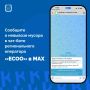 В мессенджере МАХ можно сообщить о невывозе мусора с контейнерной площадки