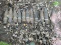 В Калининградской области с грибами собрали снаряды