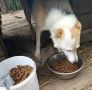 Калининградская область получила 5 тонн бесплатной еды