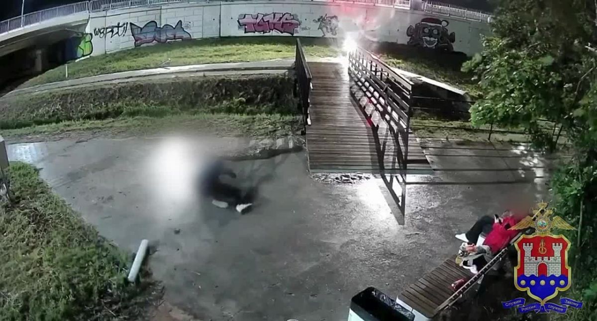В Пионерском полицейские привлекли к ответственности злоумышленника, разбившего городские фонари