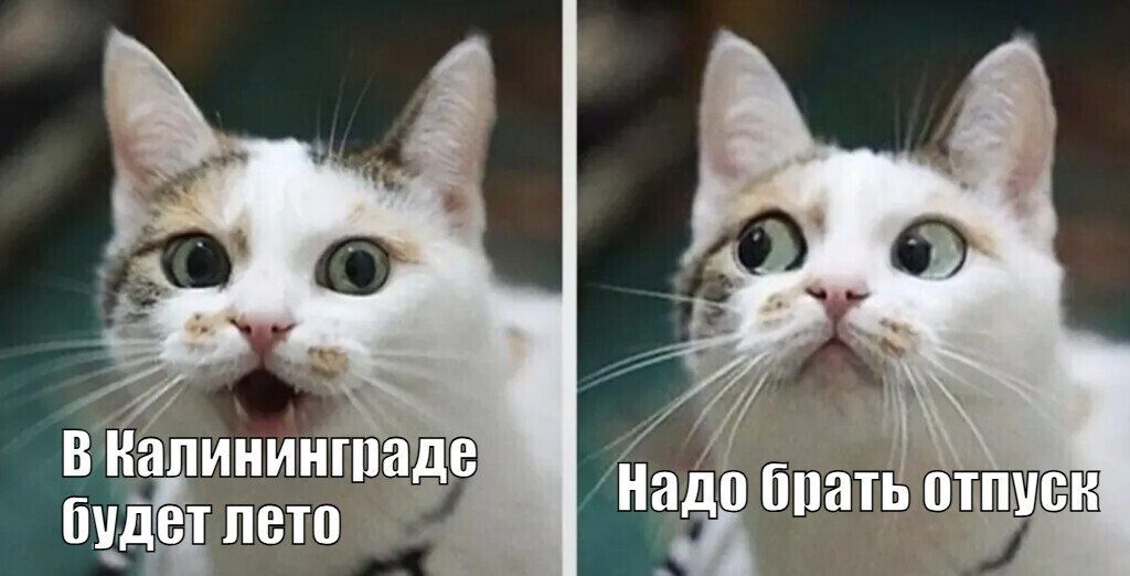 Тепло возвращается в Калининградскую область
