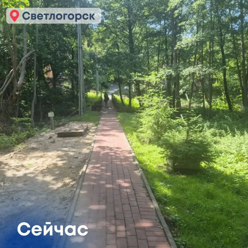 В Черняховске, Славске и Светлогорске приступили к благоустройству новых общественных территорий В Черняховске, Славске и Светлогорске приступили к благоустройству новых общественных территорий