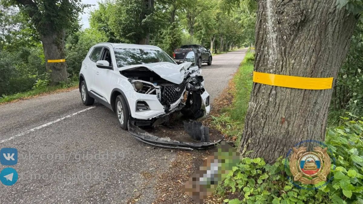 По предварительным данным, 29.07.2026 около 15:29 на 14 км + 970 м автодороги «Кустовка - Славянское Ушаковка» водитель 1996 года рождения, управляя автомобилем «Черри», выехав на полосу встречного движения совершила наезд...