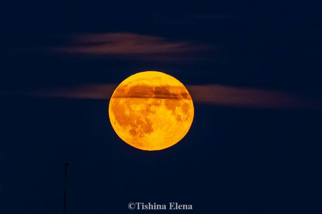 Оленья луна над Калининградом глазами Елены Тишиной