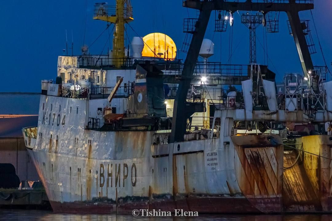 Оленья луна над Калининградом глазами Елены Тишиной Оленья луна над Калининградом глазами Елены Тишиной