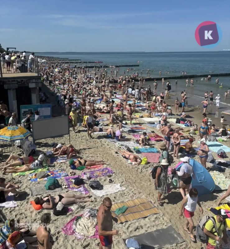 +29 °C — для Калининградской области это официальный повод отменить все дела и ехать к морю