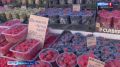 В Калининград снова возвращается жара