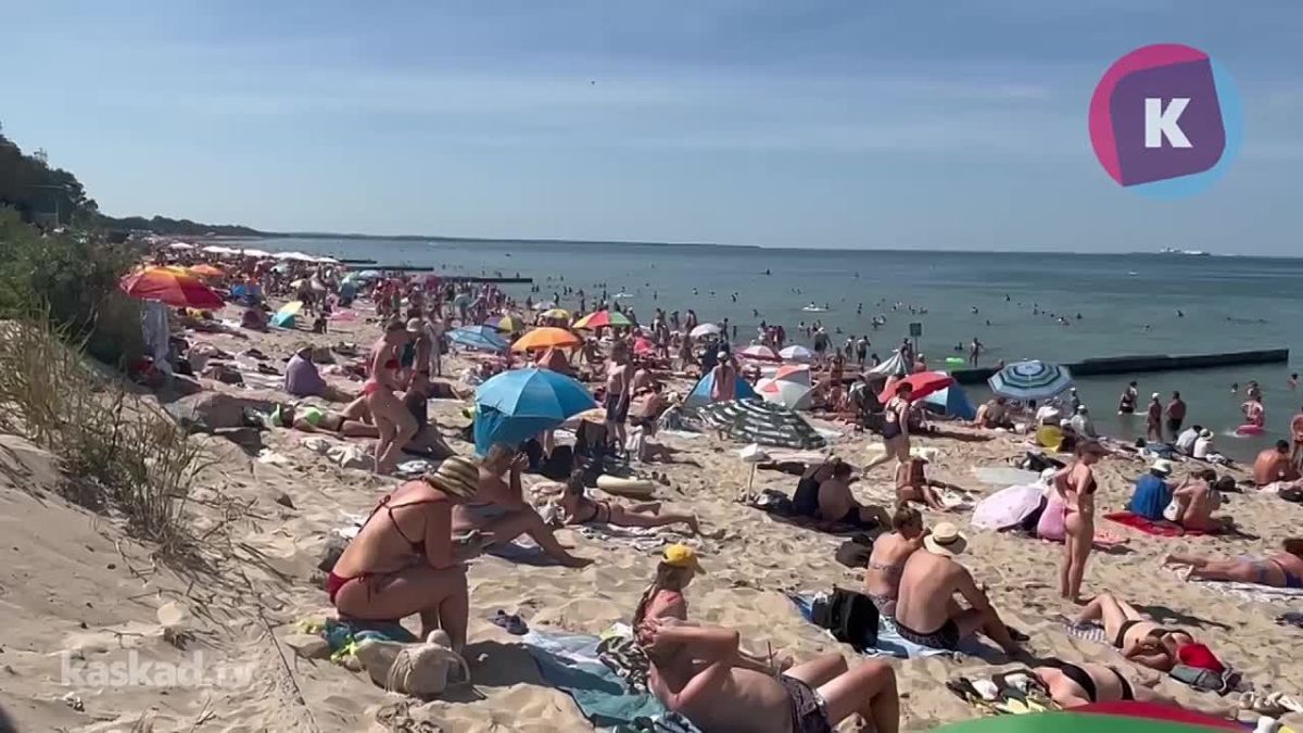 «Думали, что в Адлере много народу, но нет — Зеленоградск не уступает»