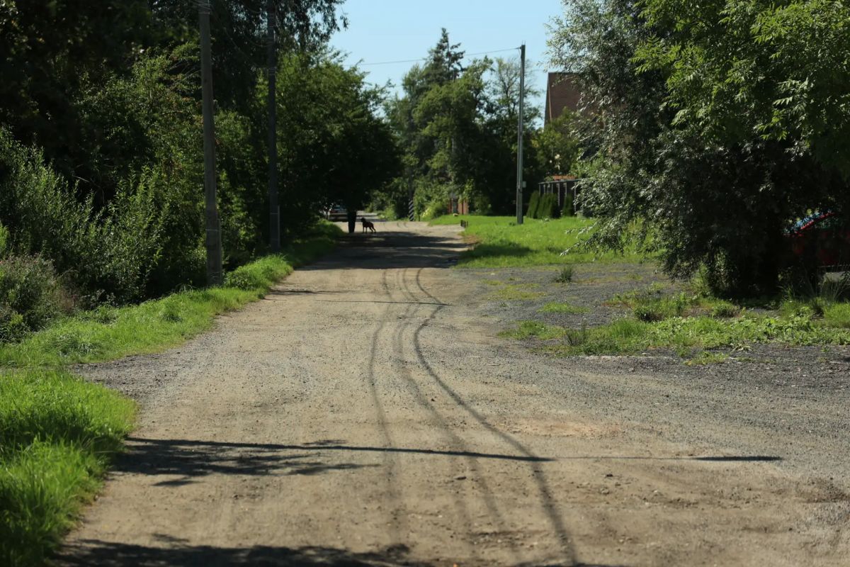 В четверг, 30 июля, в сводку дорожных работ добавлены улицы Георгиновая, Пулемётная, Посёлочная и Черноморская В четверг, 30 июля, в сводку дорожных работ добавлены улицы Георгиновая, Пулемётная, Посёлочная и Черноморская
