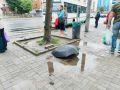 Летящая с Англии напасть замордует Калининградскую область