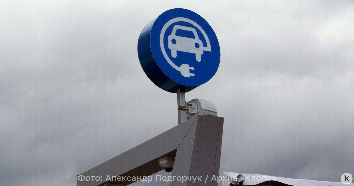 Почти половина россиян планирует купить электрокар или гибрид — опрос