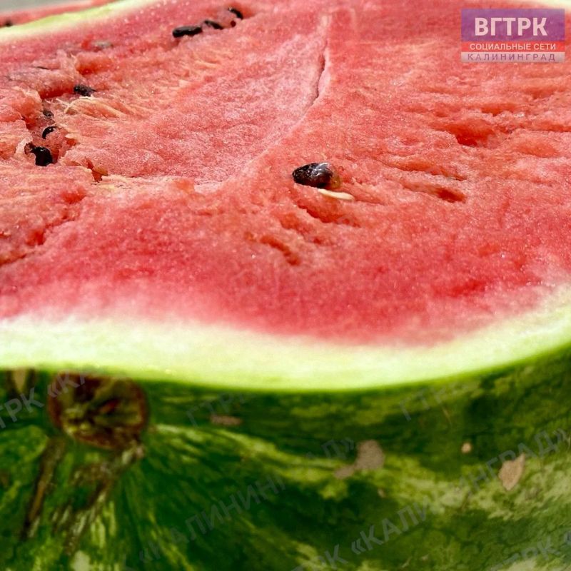 Доброе утро, друзья!. 3 августа отмечается День арбуза – самой летней, сочной и долгожданной ягоды августа Доброе утро, друзья!. 3 августа отмечается День арбуза – самой летней, сочной и долгожданной ягоды августа