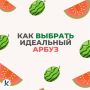 Во всём мире 3 августа отмечают День арбуза
