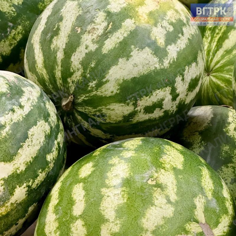 Доброе утро, друзья!. 3 августа отмечается День арбуза – самой летней, сочной и долгожданной ягоды августа Доброе утро, друзья!. 3 августа отмечается День арбуза – самой летней, сочной и долгожданной ягоды августа