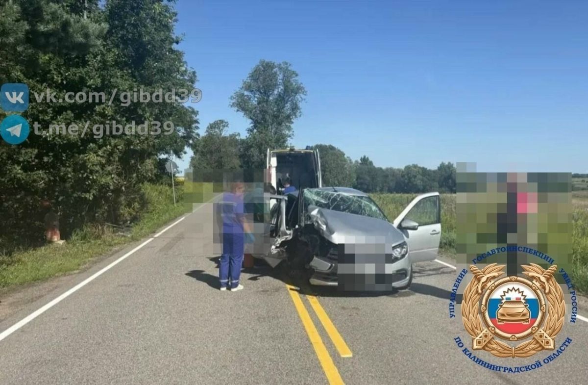 Под Гусевом водитель авто отвлёкся от дороги и врезался в дерево