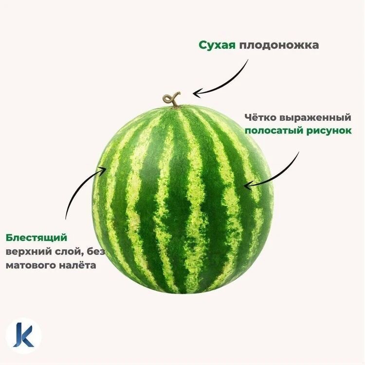 Во всём мире 3 августа отмечают День арбуза Во всём мире 3 августа отмечают День арбуза
