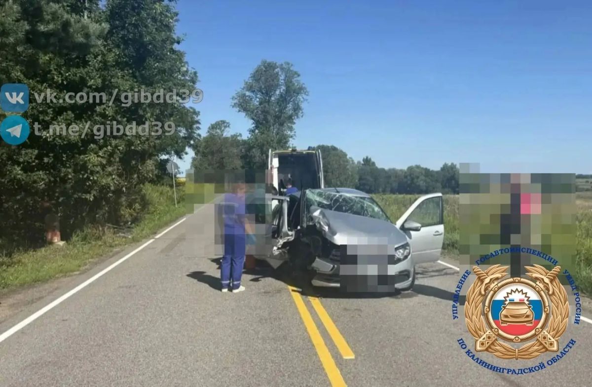 В Гусевском районе «Лада» врезалась в дерево, пострадала пассажирка