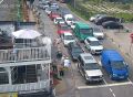 Рост очереди на паром на Балтийскую косу шокировал всех