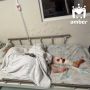 15-летняя жертва пьяного водилы с Черняховского остаётся в больнице на обезболивающих