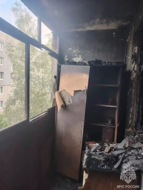 В Калининграде пожарные спасли восемь человек, кошку и собаку из горящей квартиры В Калининграде пожарные спасли восемь человек, кошку и собаку из горящей квартиры