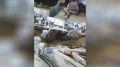 В магазине на Полоцкой семейная пара забыла оплатить товар на 13,5 тысячи рублей