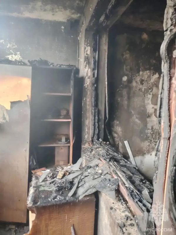 В Калининграде пожарные спасли восемь человек, кошку и собаку из горящей квартиры В Калининграде пожарные спасли восемь человек, кошку и собаку из горящей квартиры