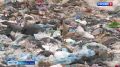 В начале следующего года в Советске начнутся строительные работы на площадке размещения отходов первой очереди на полигоне Барсуковка