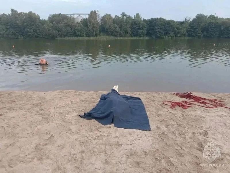 На озере в Калининграде сделали страшную находку На озере в Калининграде сделали страшную находку