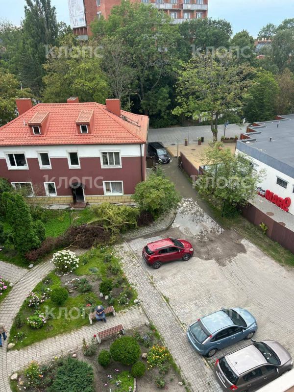В центре Зеленоградска у въезда во двор дома почти неделю стоит лужа с фекалиями В центре Зеленоградска у въезда во двор дома почти неделю стоит лужа с фекалиями