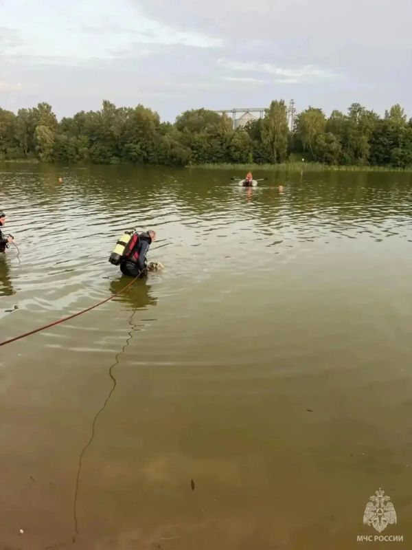 На озере в Калининграде сделали страшную находку На озере в Калининграде сделали страшную находку