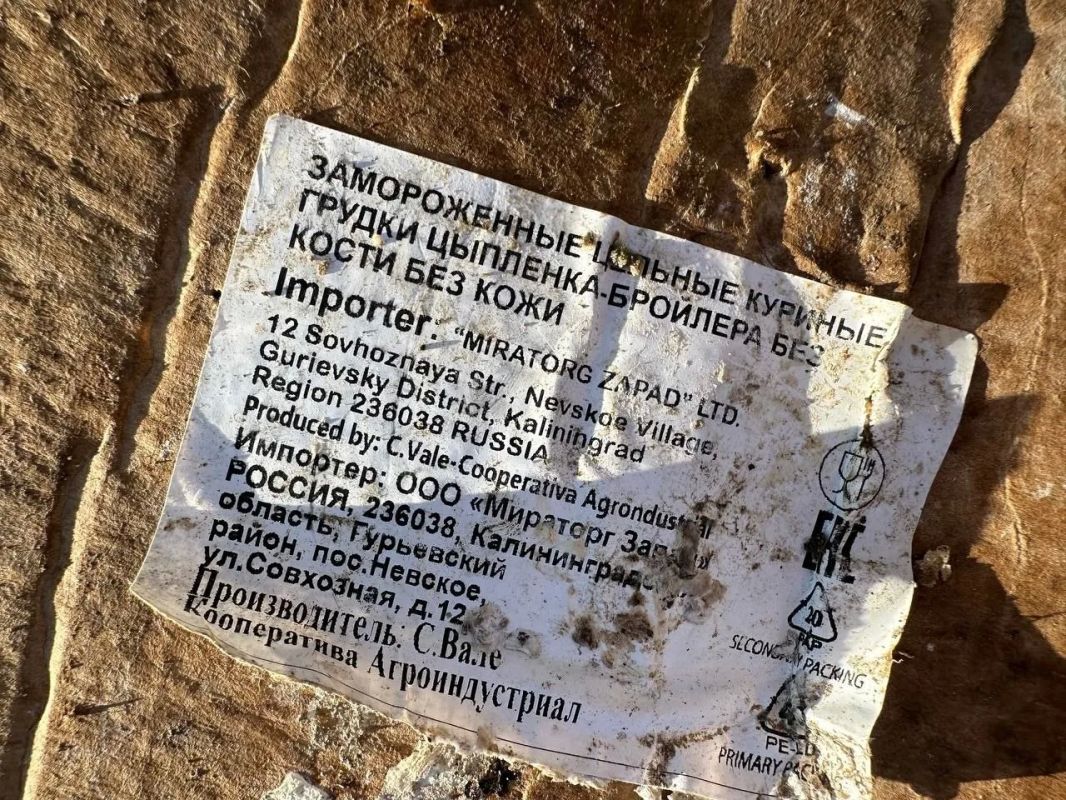 Куриные тушки из Бразилии для «Мираторга» приземлились под Калининградом Куриные тушки из Бразилии для «Мираторга» приземлились под Калининградом