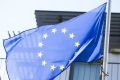 Калининградские птицефабрики получили более 1,5 млн инкубационных яиц из Евросоюза