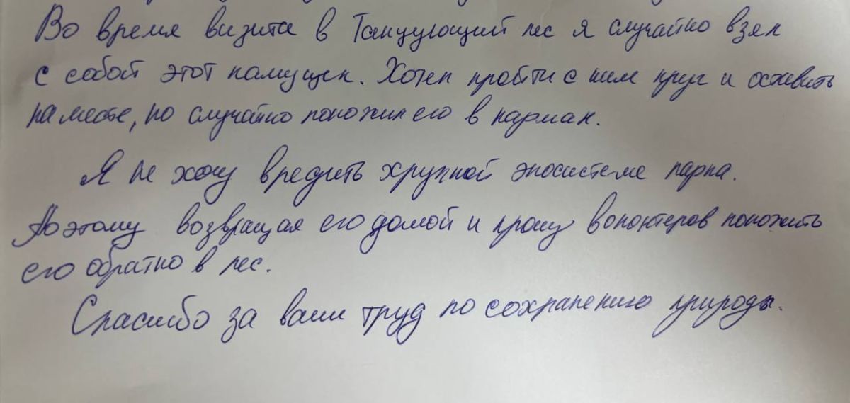 В нацпарк «Куршская коса» прислали камень, который турист случайно увёз с собой