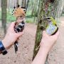 Яркие краски уходящего лета преподнесли орнитологам настоящий тропический сюрприз прямо на побережье Балтийского моря
