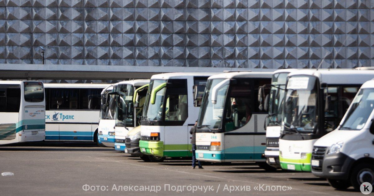 В Пионерский из Калининграда вечером пустили дополнительный маршрут автобуса