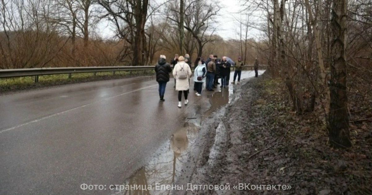 Дятлова обещала наладить освещение дороги, ведущей в Прегольский
